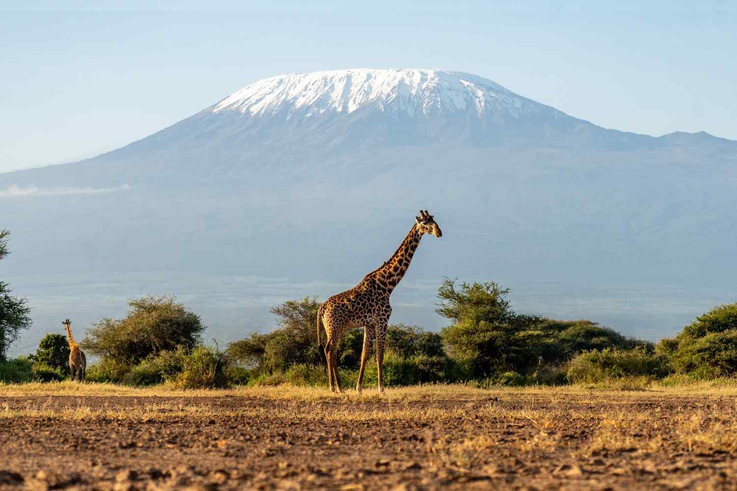Kenya-Holiday-Package