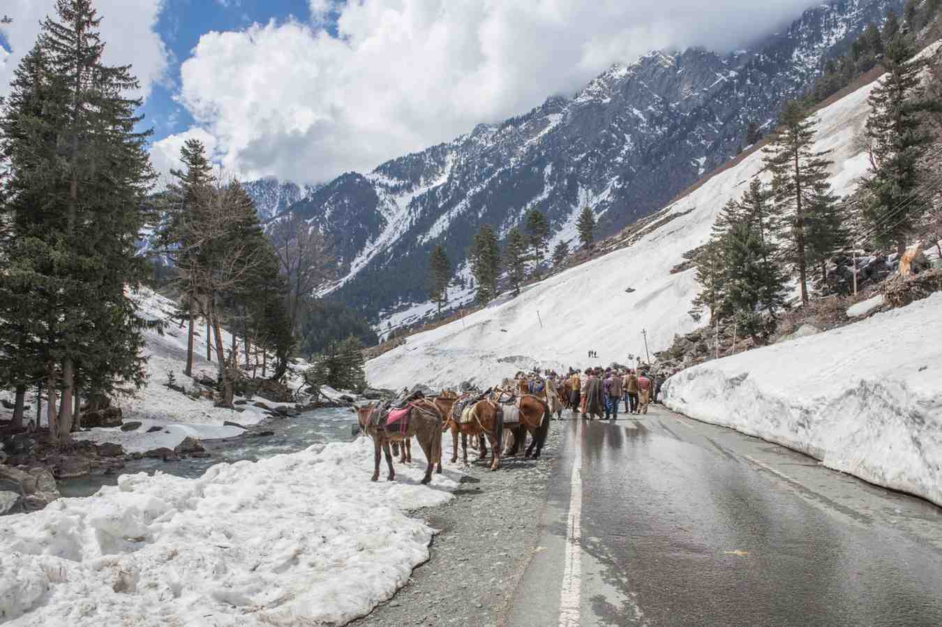 Kashmir tour Package
