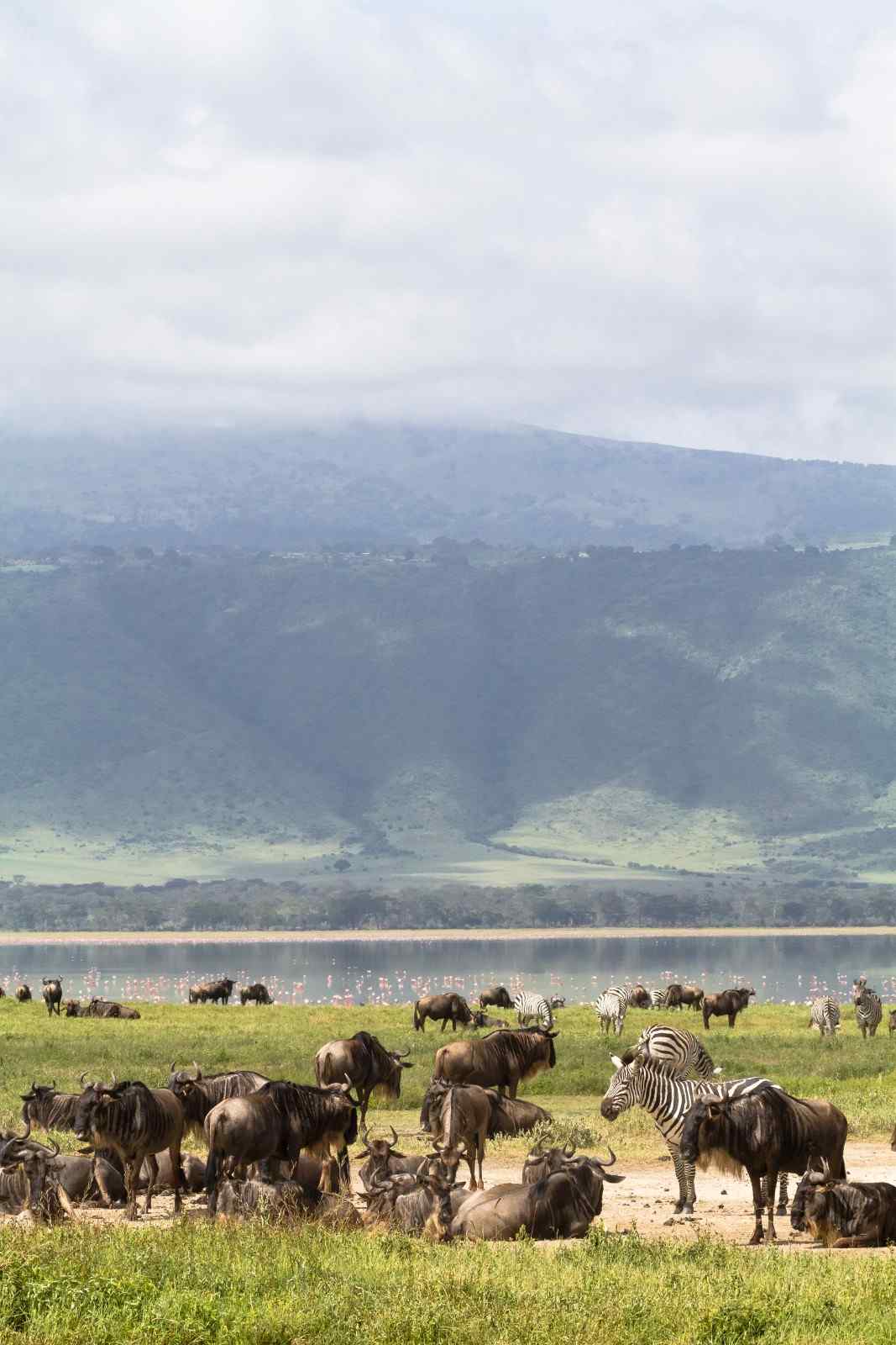 Tanzania-Holiday-Package