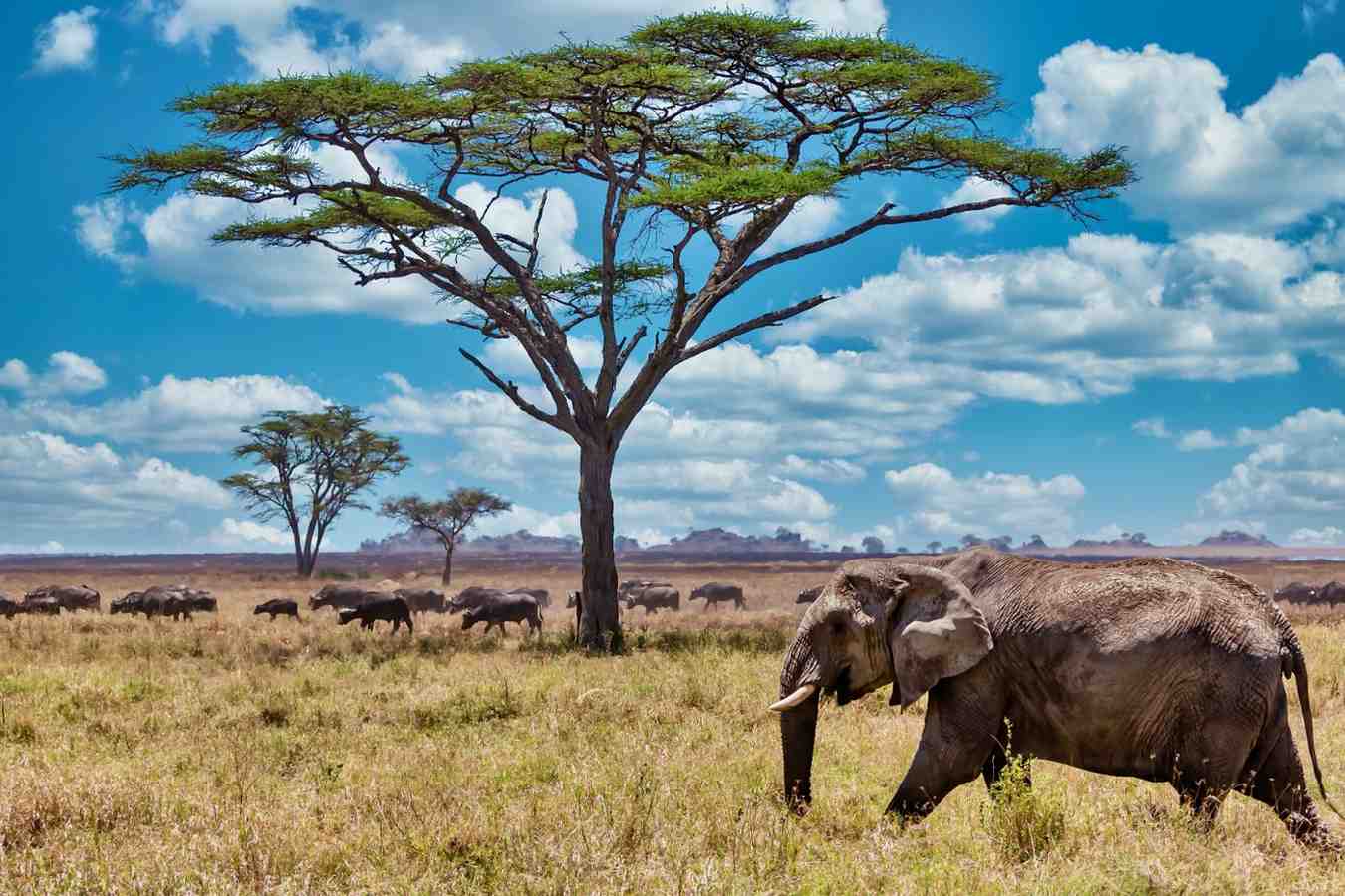 Zimbabwe-Travel-Package