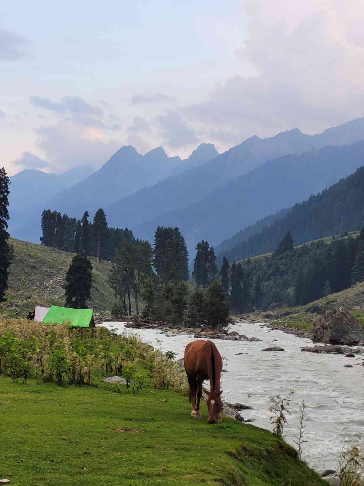 Himachal-Tour-Package